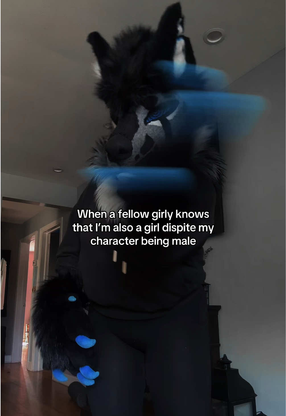 @sonar_hyena_shark