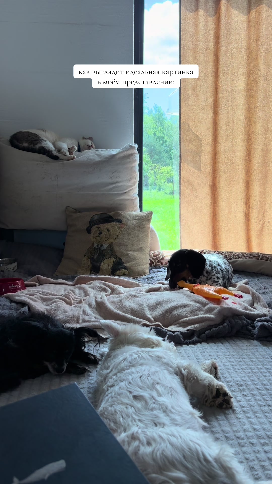 @kris_zoohotel