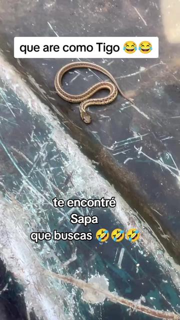 @lupita..๐