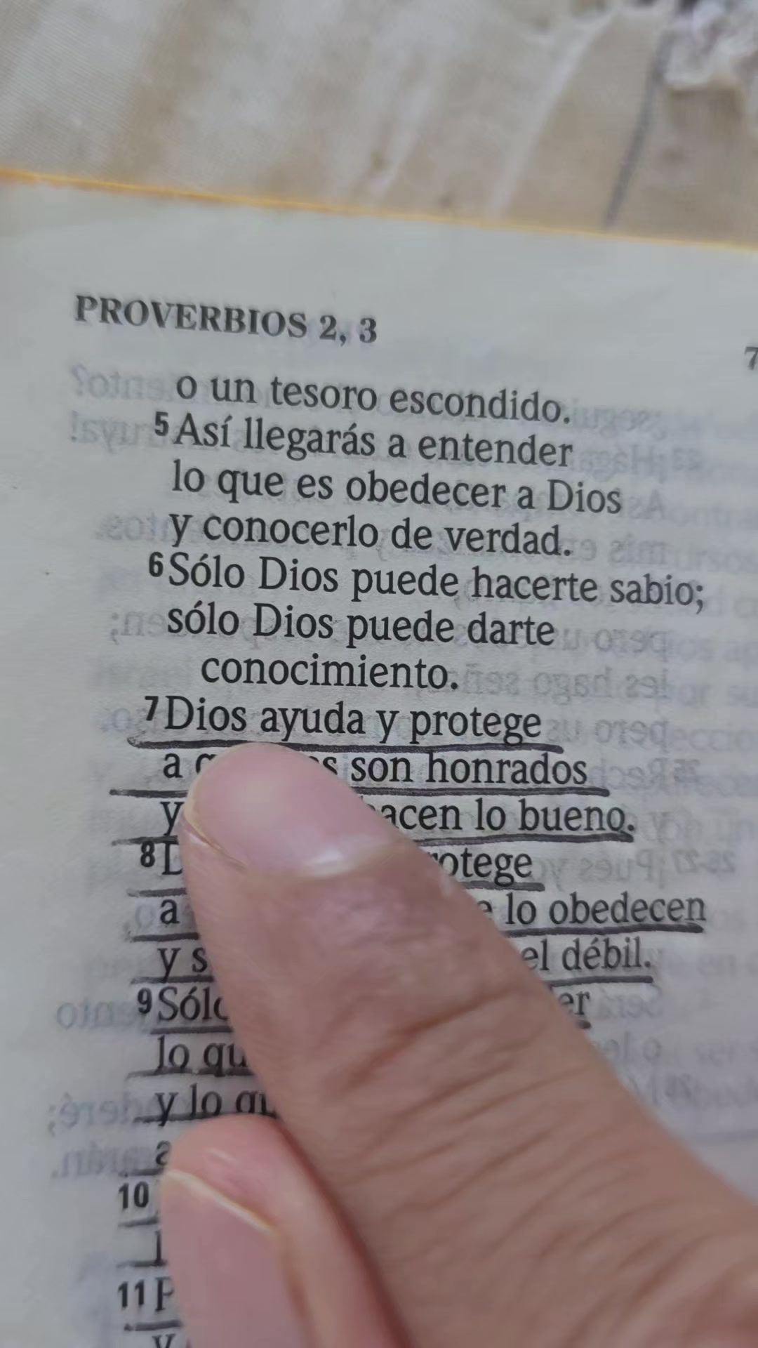 @Palabra de Dios
