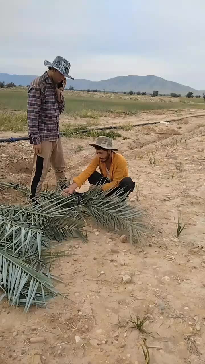@Yiuhg