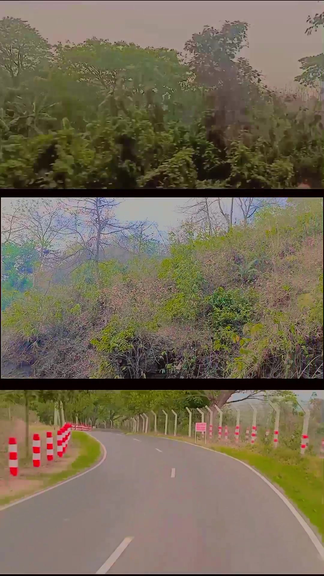 @ꪗꪖꪀ ☯︎