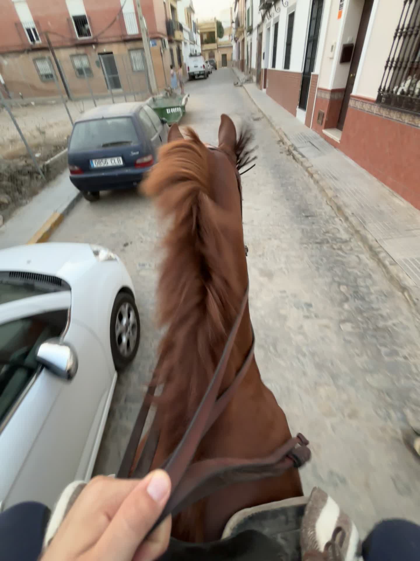 @Pepe Serrato