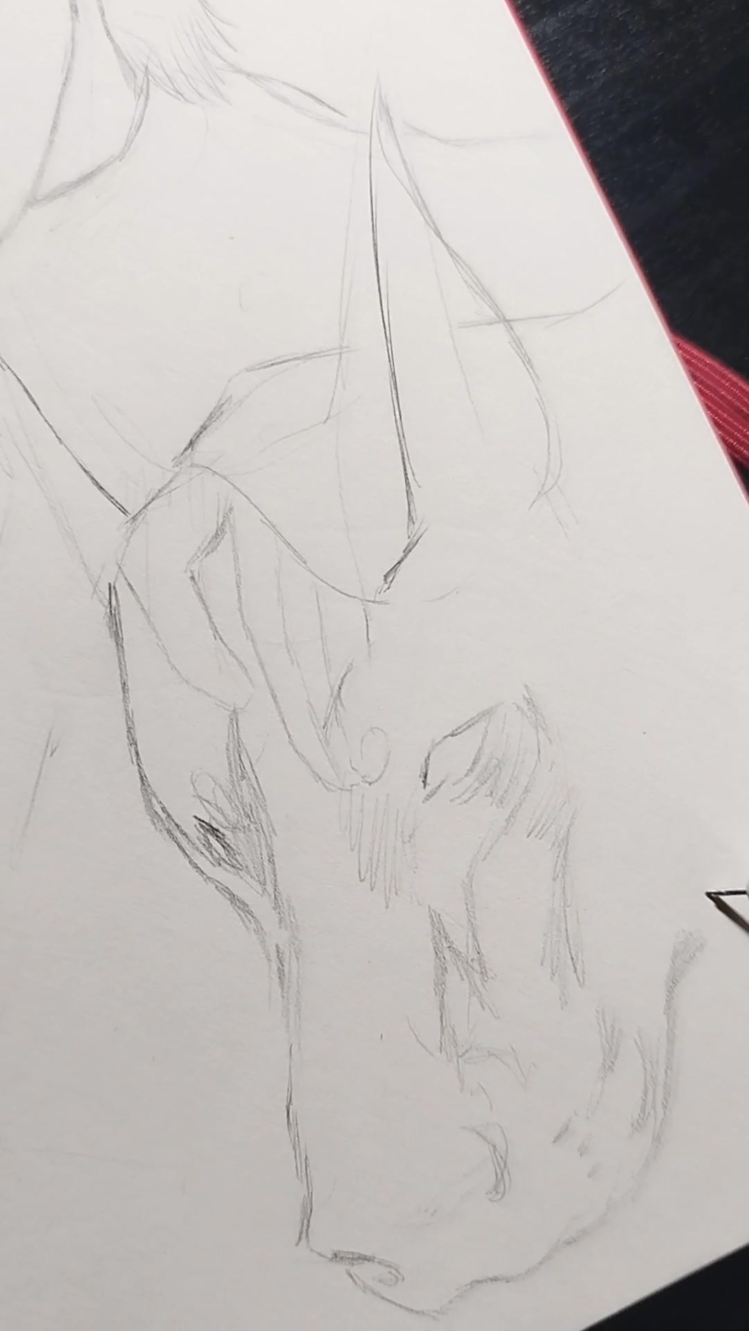 @𝙼𝚘𝚘𝚗𝚌𝚑𝚒𝚕𝚍