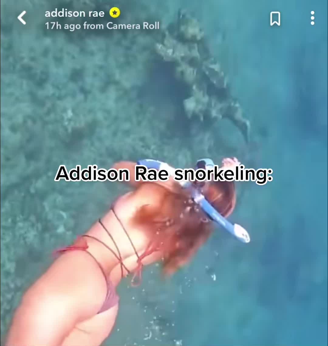 @memeclips692