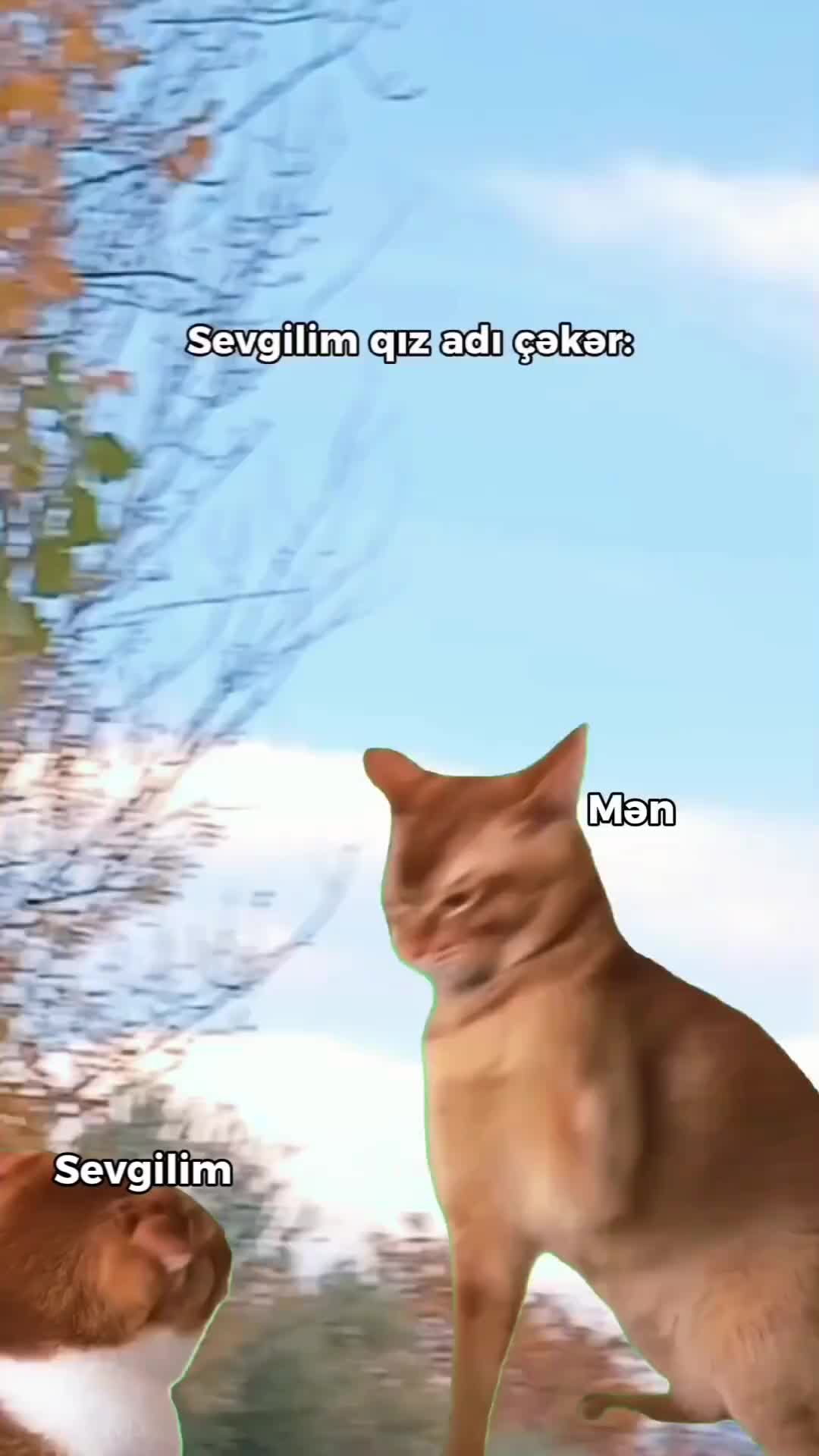 @🇦🇿