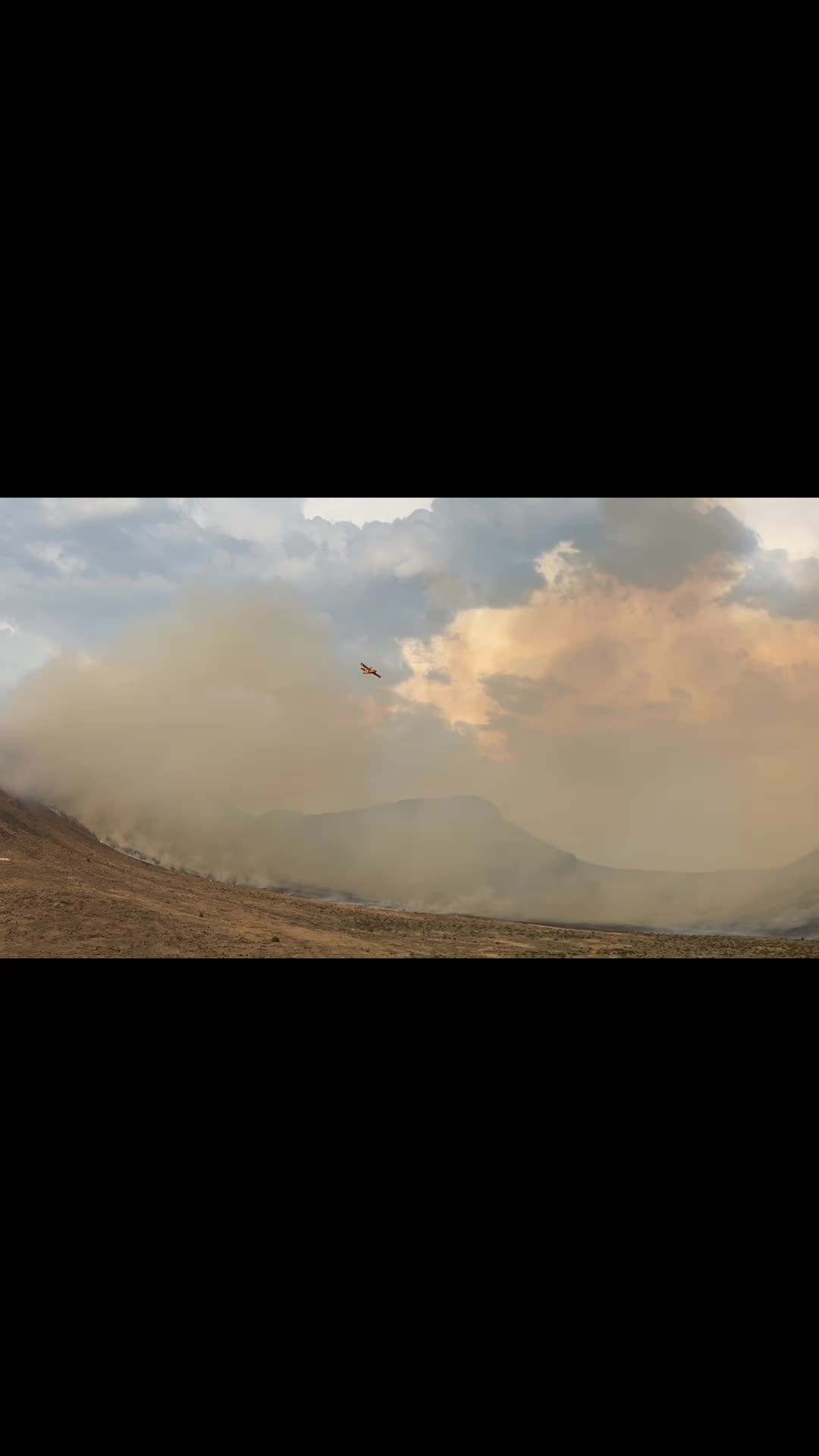 @Wildlandguy