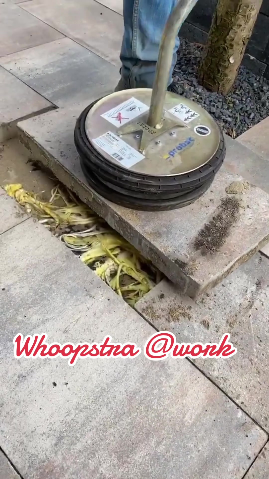 @Wensley 🥳