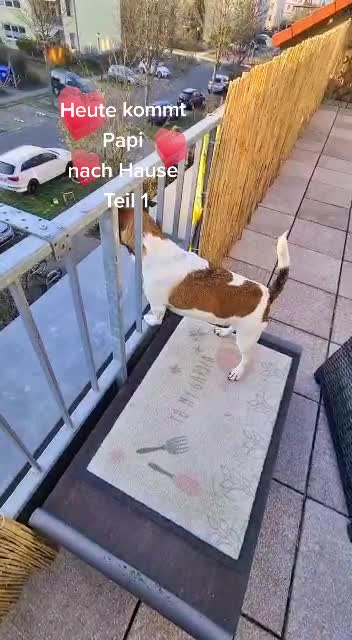 @Shari's wunderbare Welt