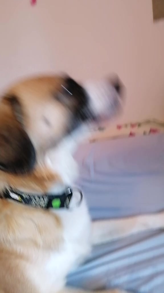 @Buddy~Daisy