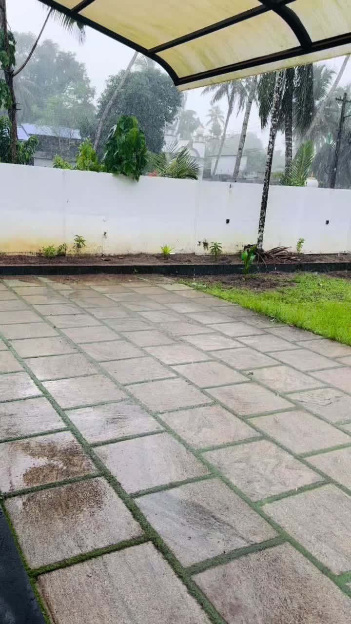 @Anju Shaju