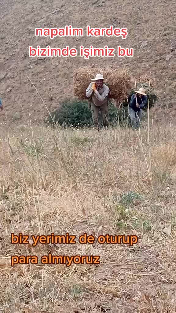 @denoo_çlk