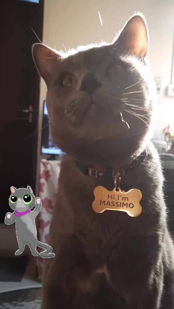 @SikongSimongChikong