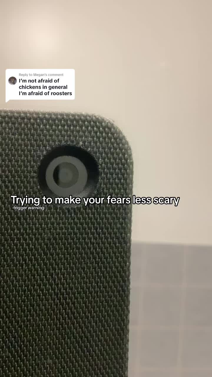 @♛ 𝗣𝗵𝗼𝗯𝗶𝗮𝘀