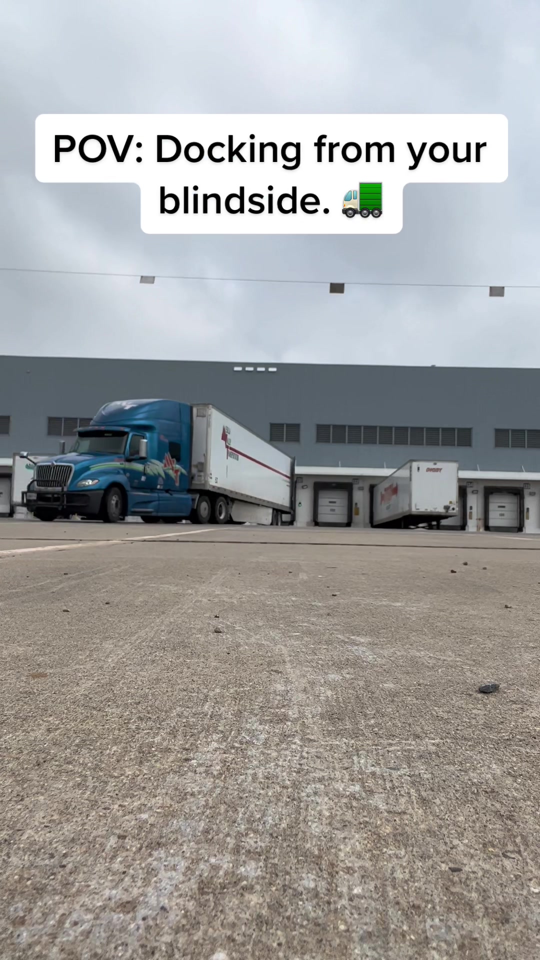 @sunflowerwheels
