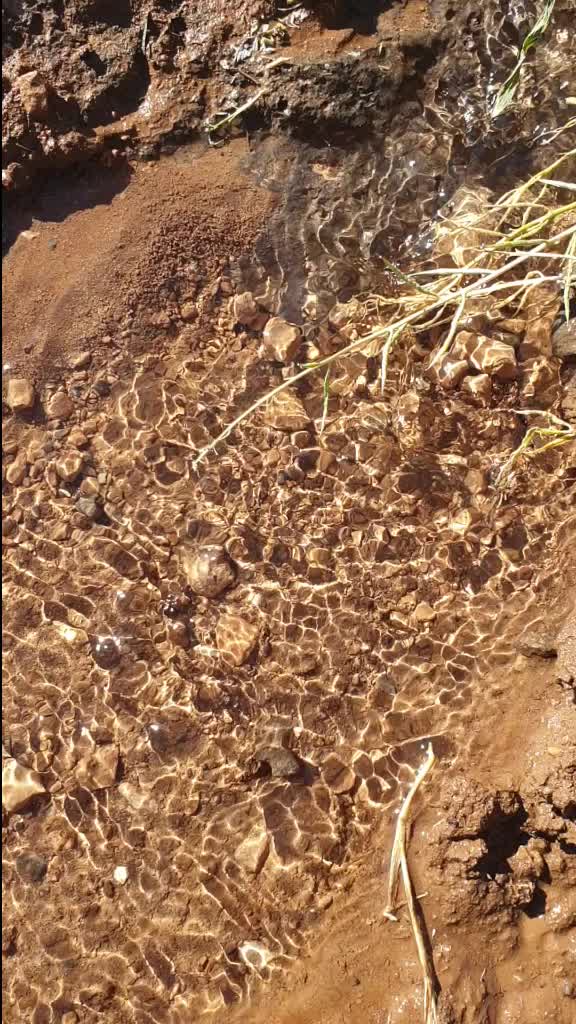 @user4826495793287