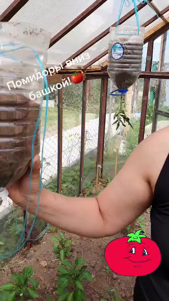 @Юлия Танкеева