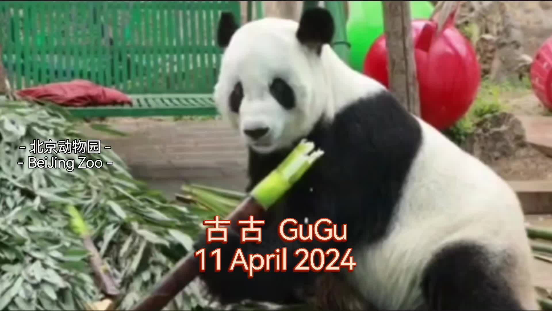@絲祤🐒⁰⁴⁰³