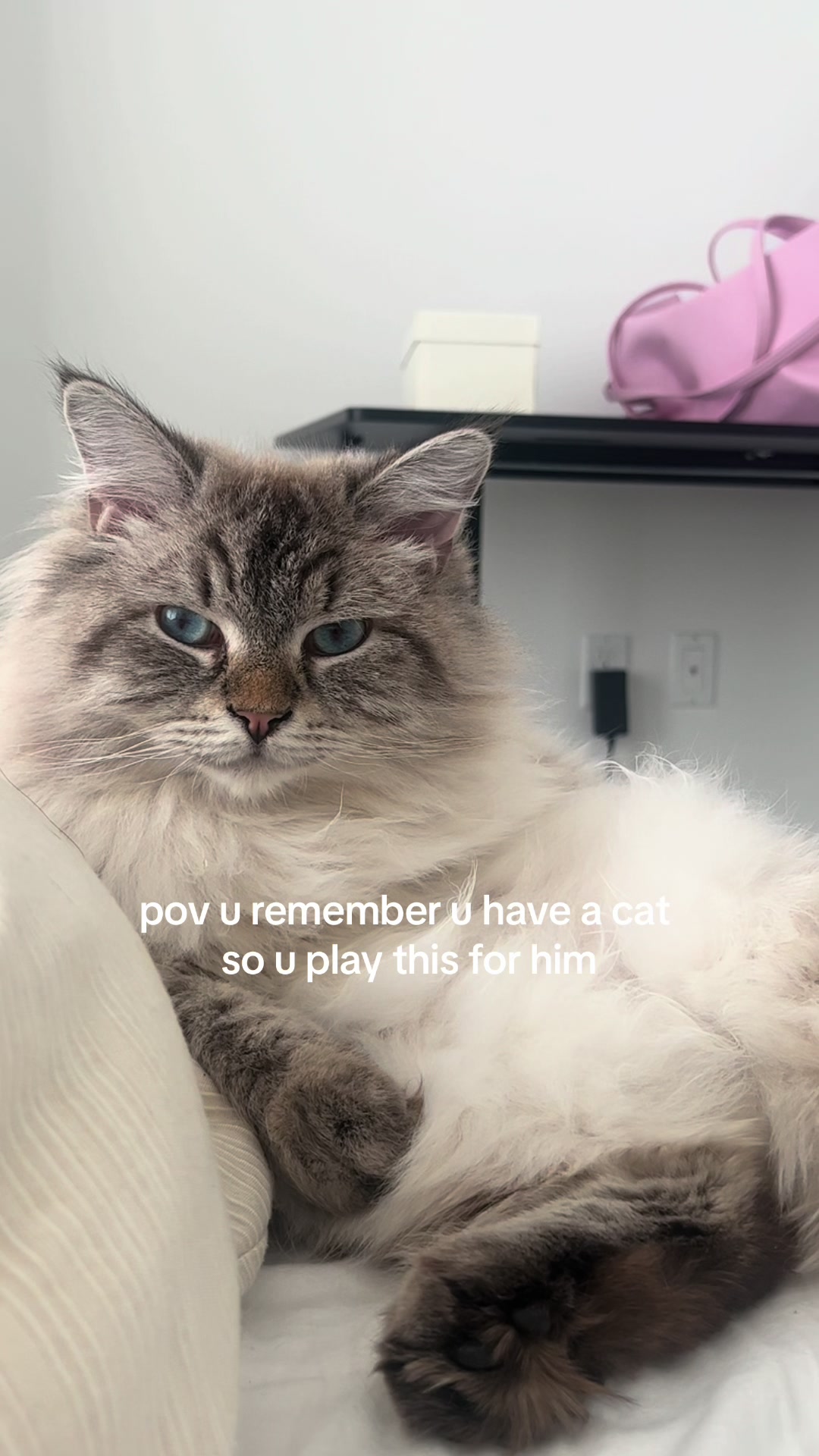@sandy