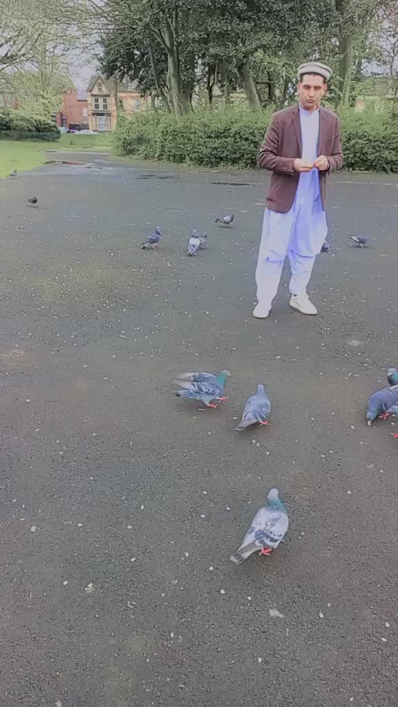 @jamalshah684