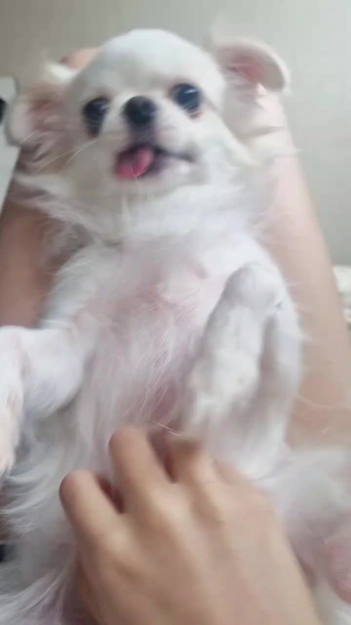 @๋ง์ค
