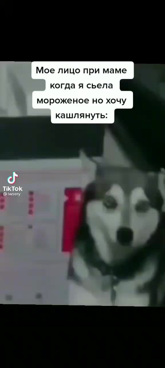 @взаимная подписка и лайки❤🥺