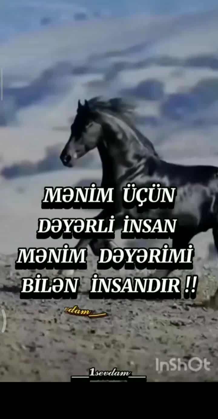 @❓HİKMƏT ❓