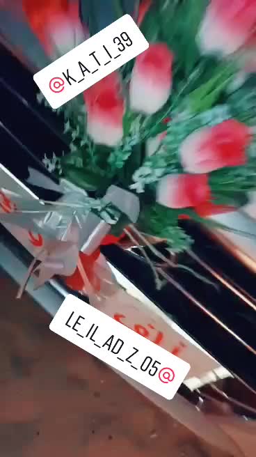 @🫅امي تاج راسي 🫅