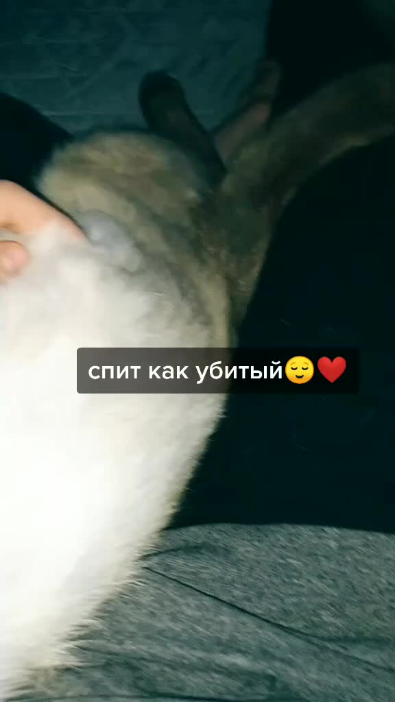 @......