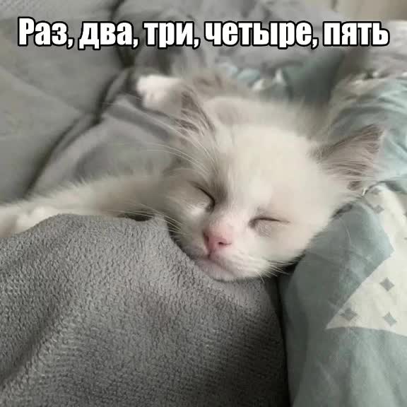 @уляꮺ