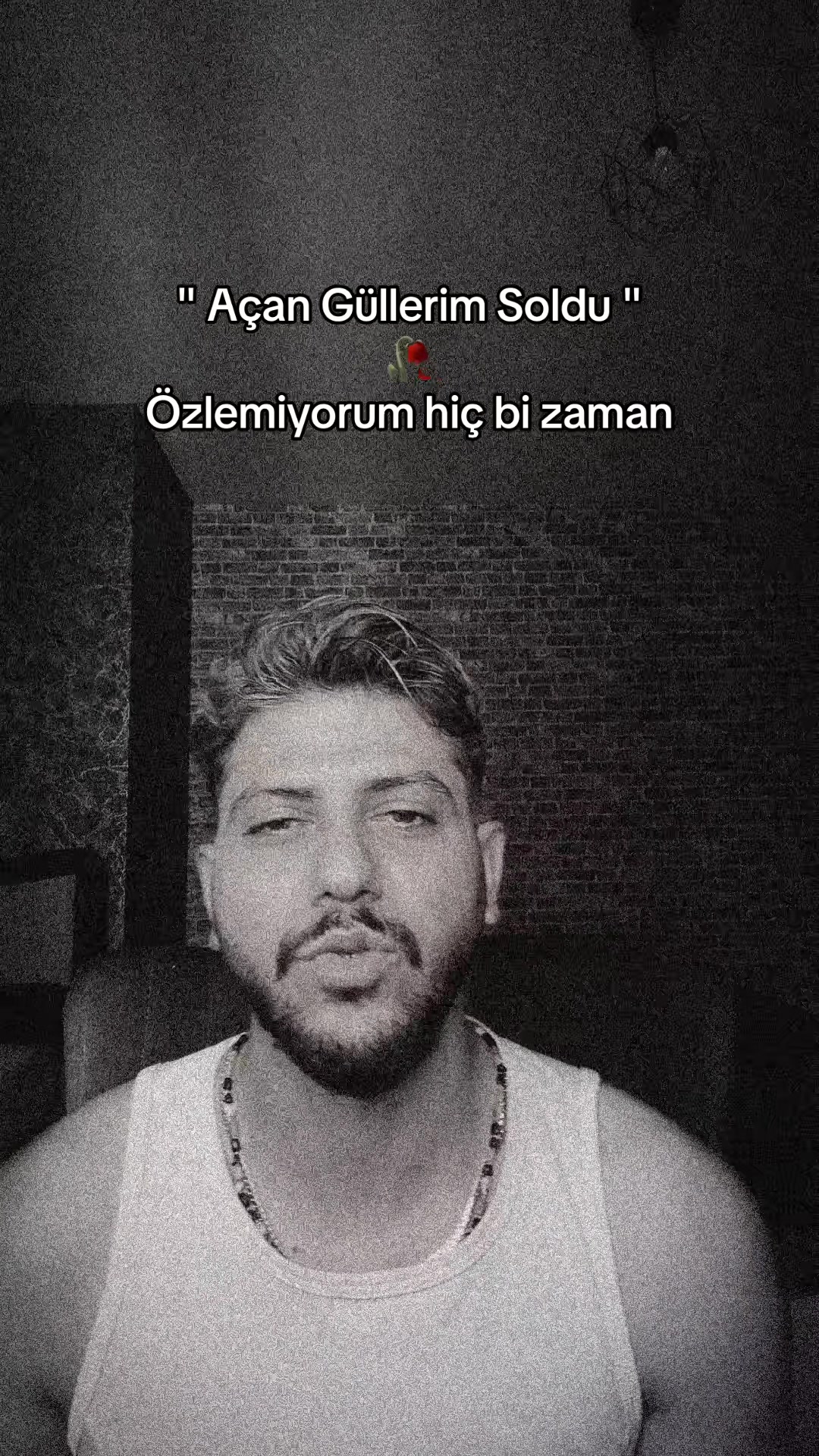 @MEGonline