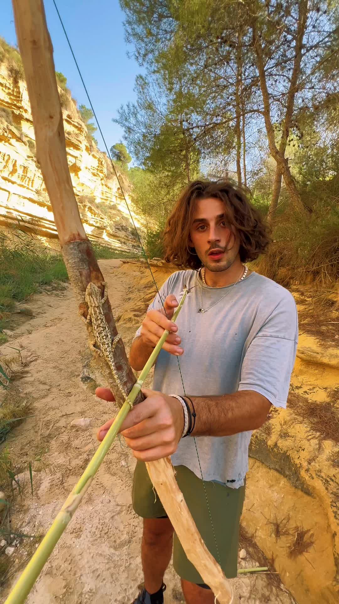 @ImSolal