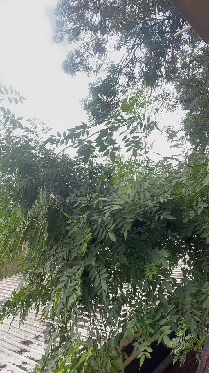 @Namrata Passi
