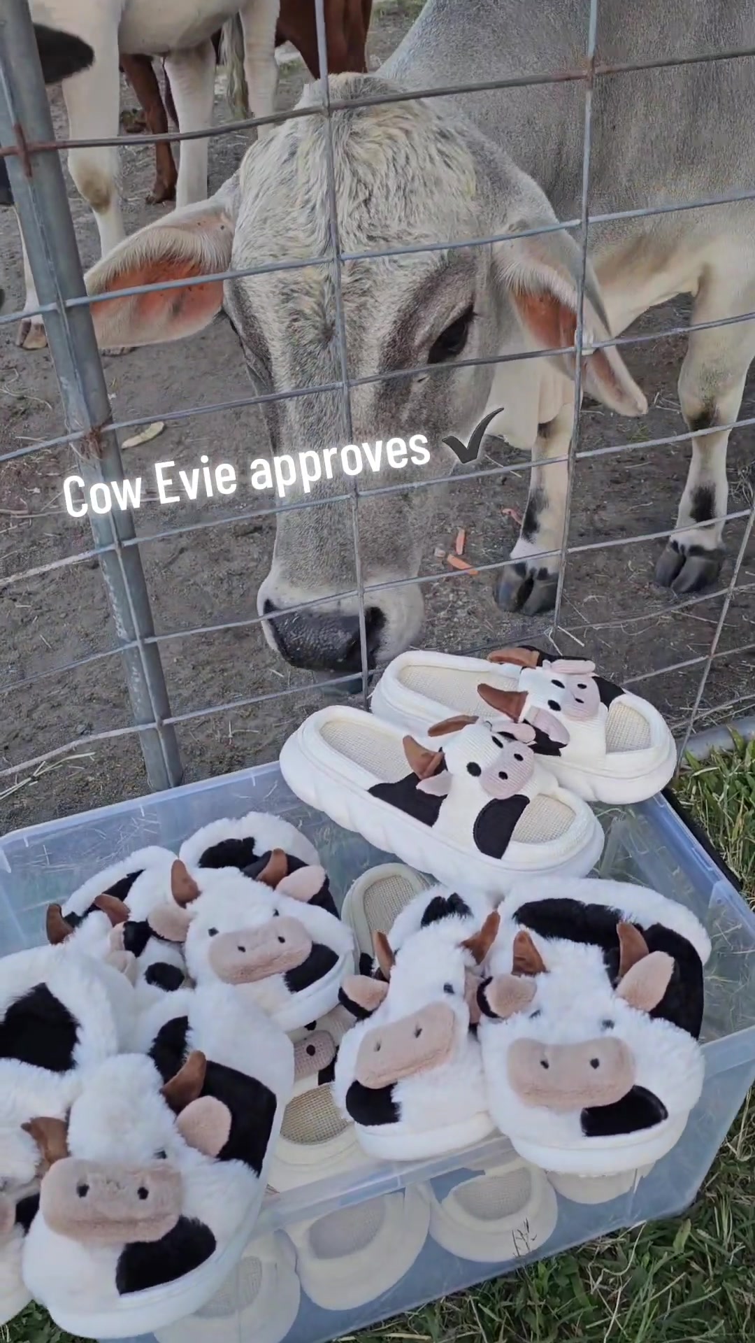 @CowLoverShop