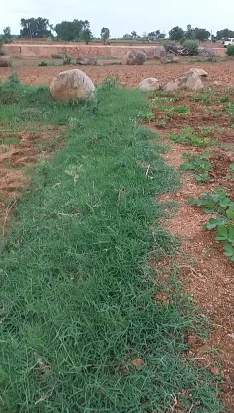 @Narsimlu Mudiraj Nar