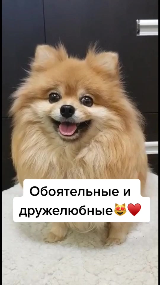 @busiya_cutie🐻♥️