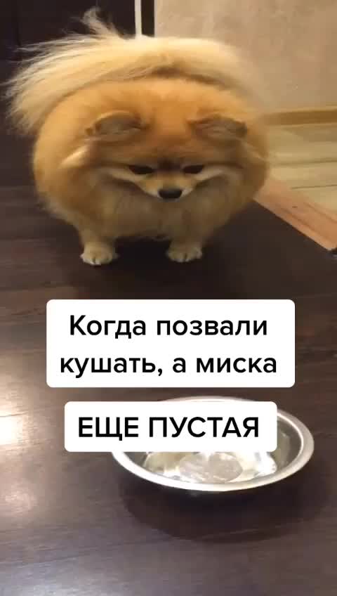 @busiya_cutie🐻♥️