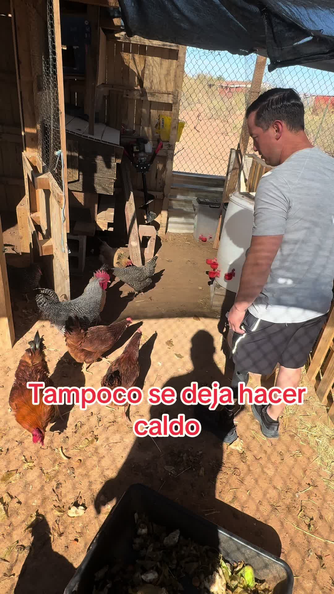 @El BI&Oacute;NICO