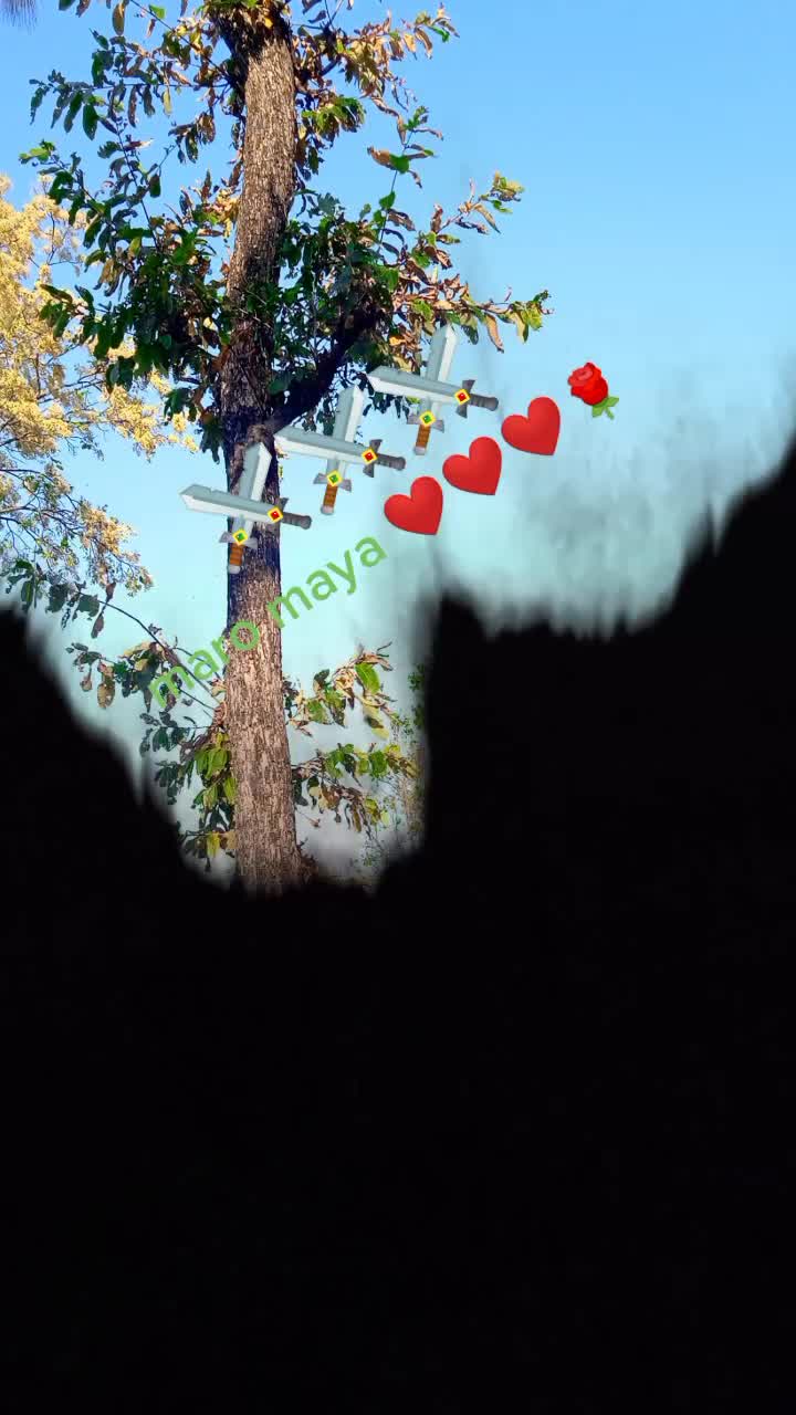 @bhimthapamagar618