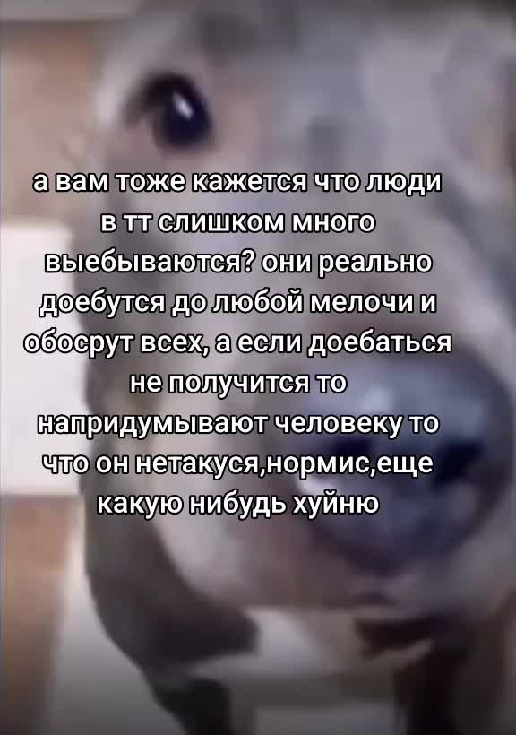 @канаплезин