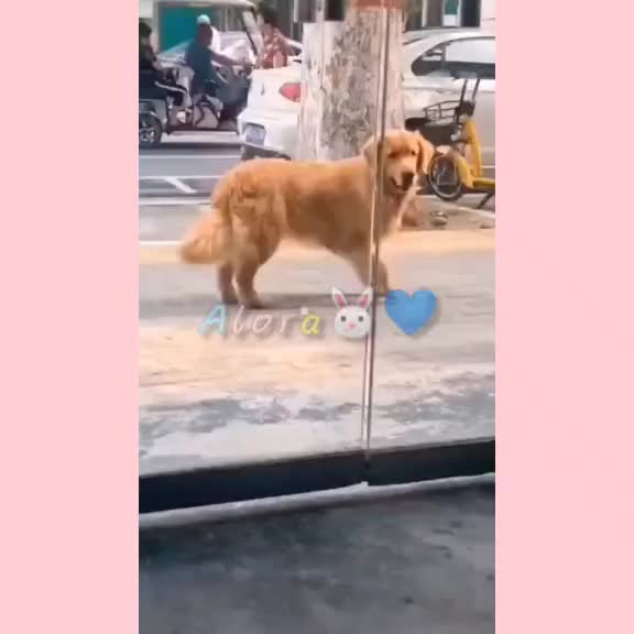 @ᴀʟᴏʀᴀ♡︎✨