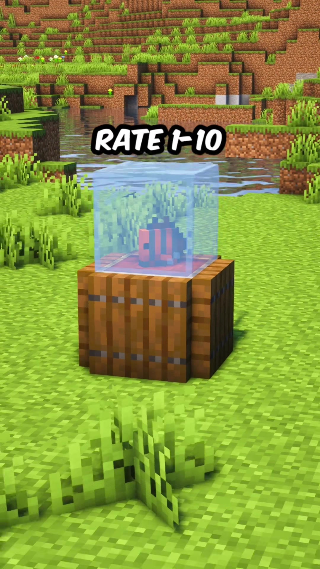 @Chris_Minecraft