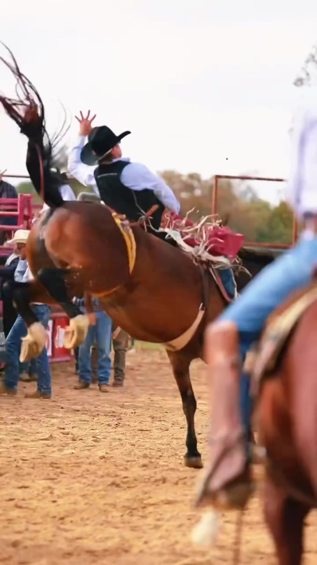 @Thanksgiving Rodeo School