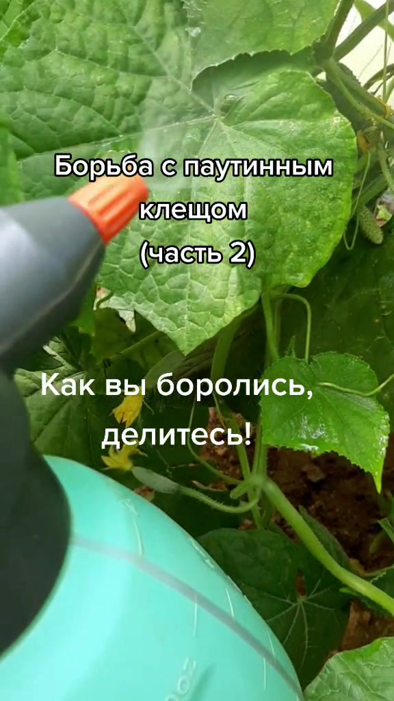@Дача мечты