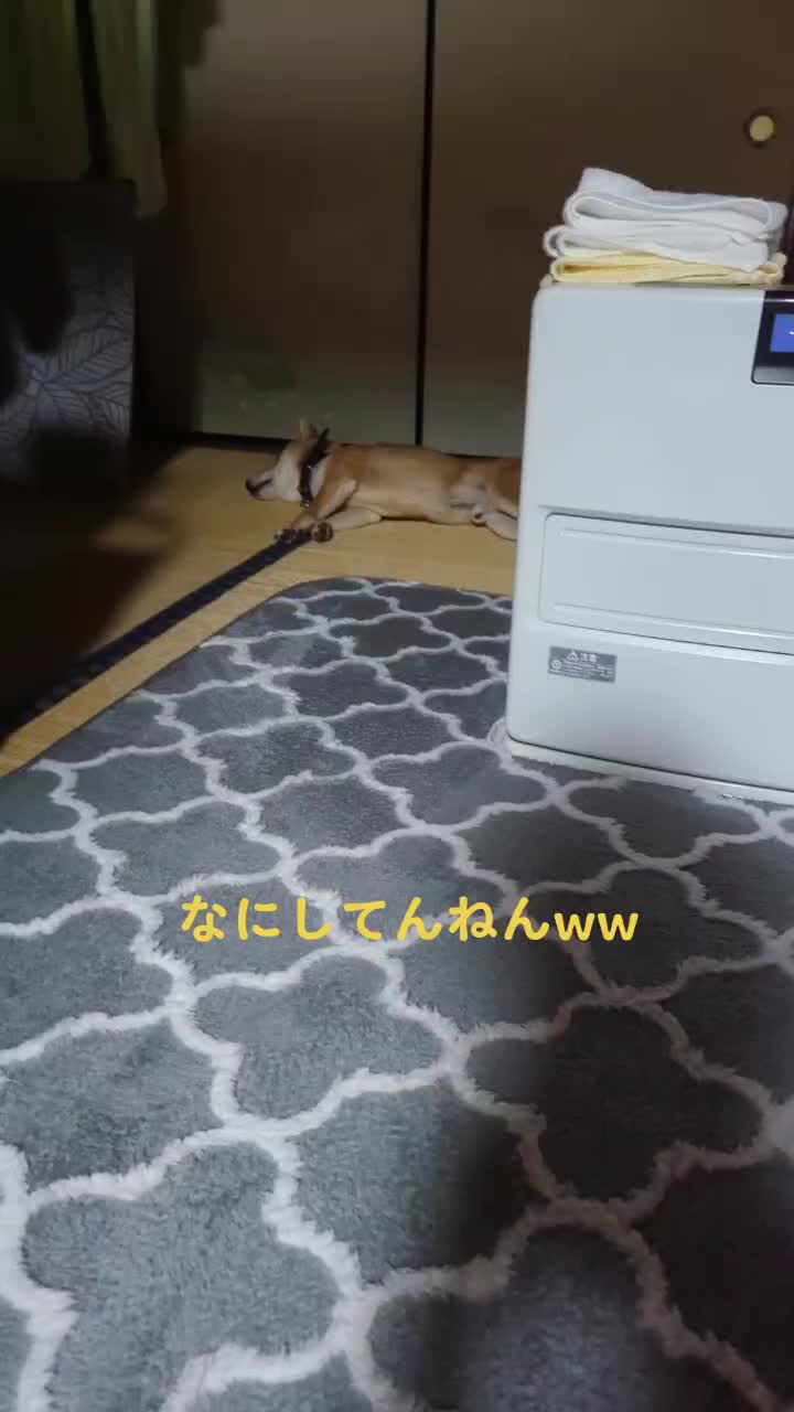 @えだまめ