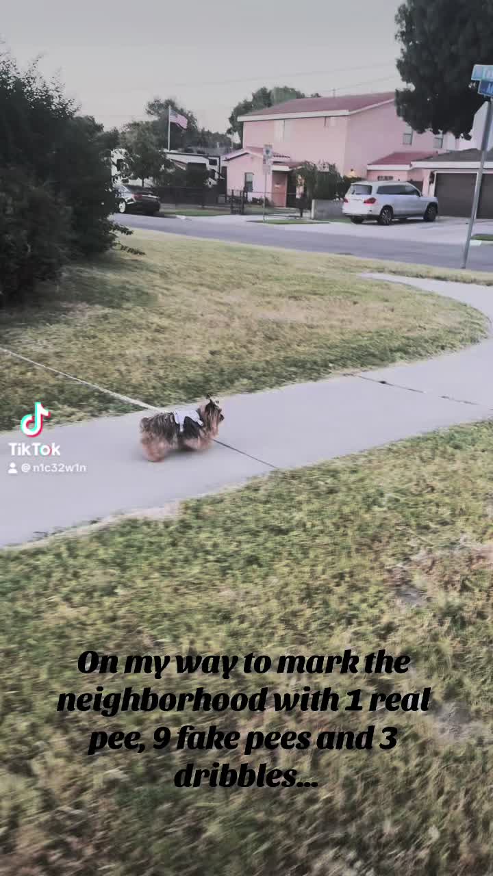 @Erik