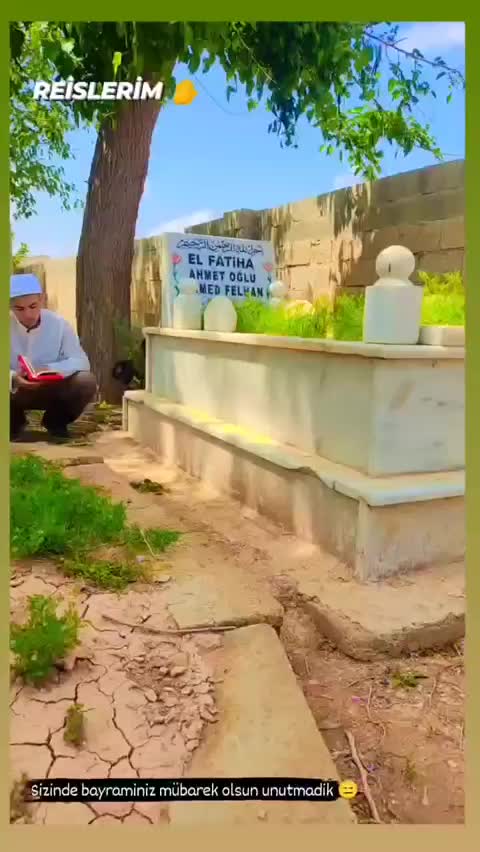 @Ali
