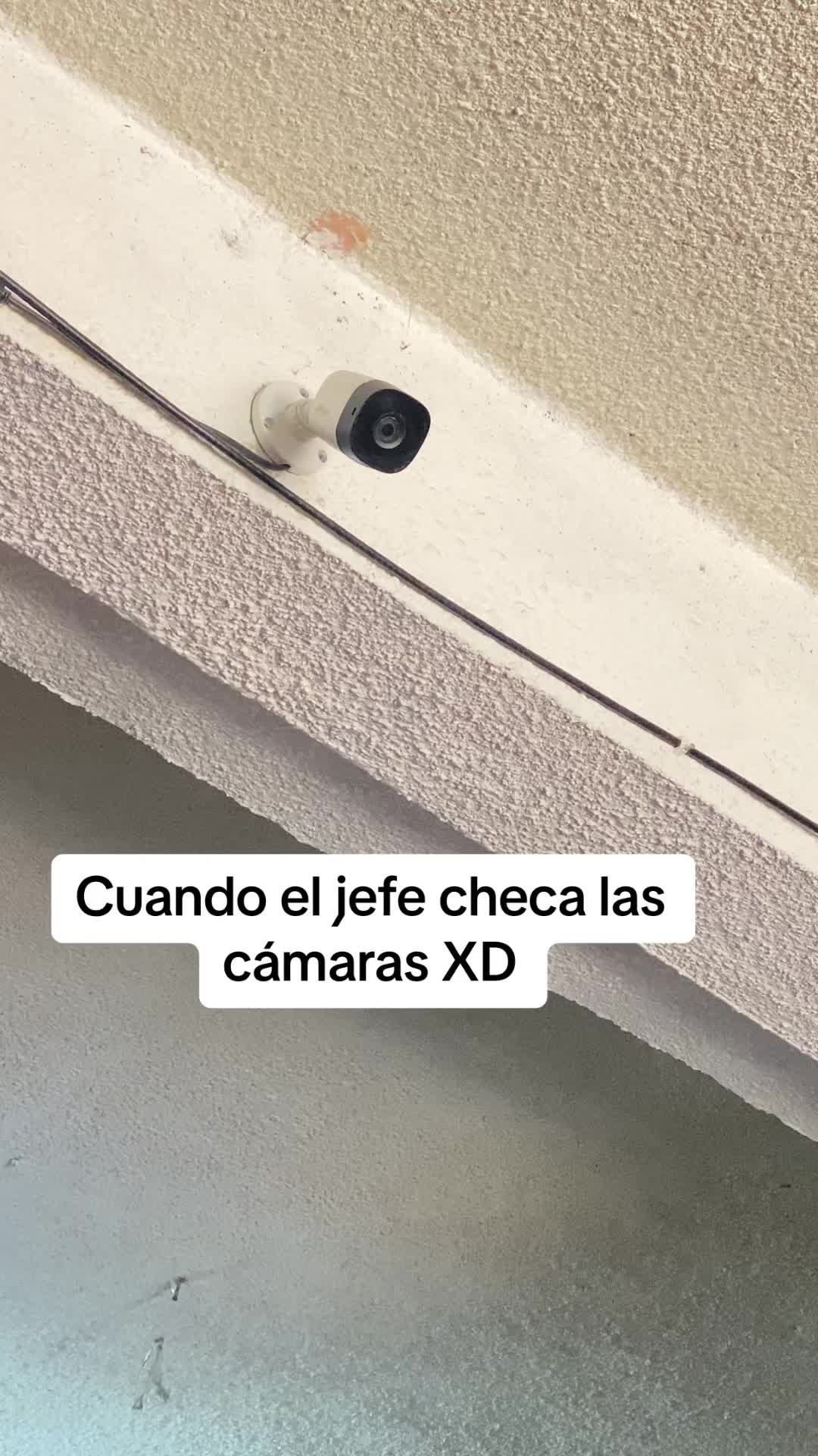 @L A X H I N A