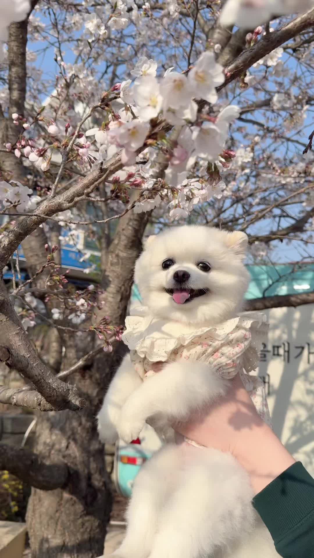 @권하리