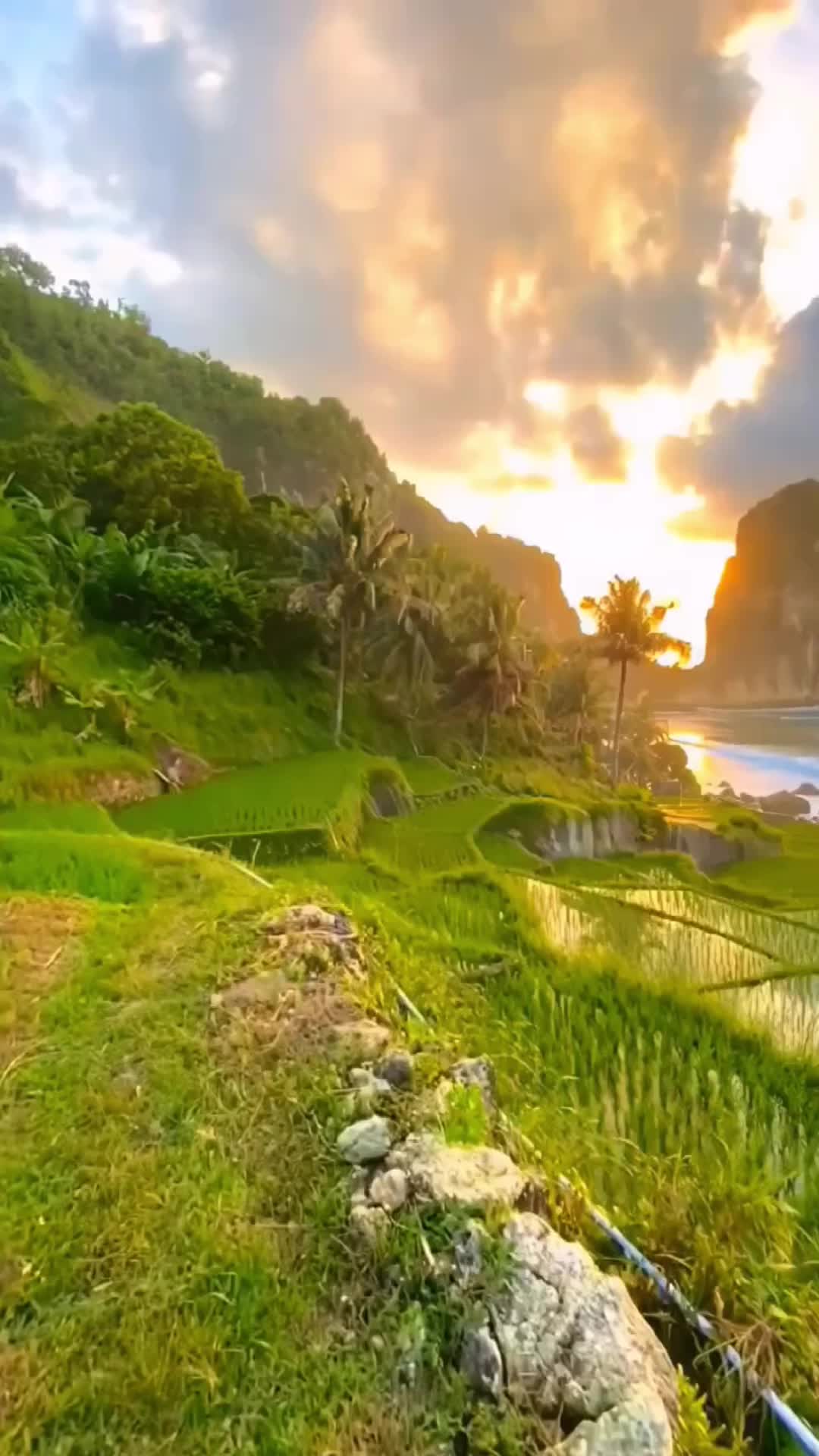 @Traveler